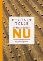 de kracht van het nu mindfulness