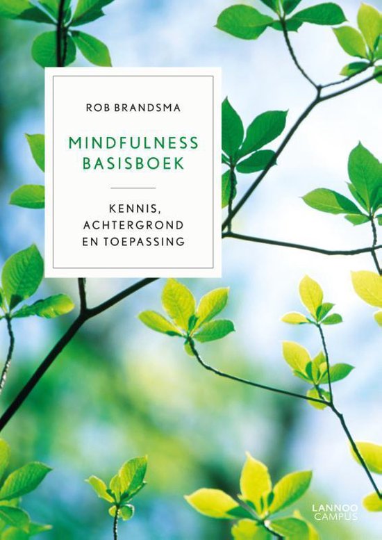 rob brandsma mindfulness basisboek