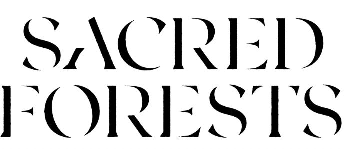 sacred forests nonviolent communication workshop