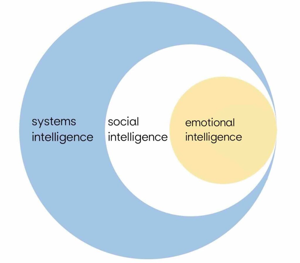 Emotional Social and Systems Intelligence